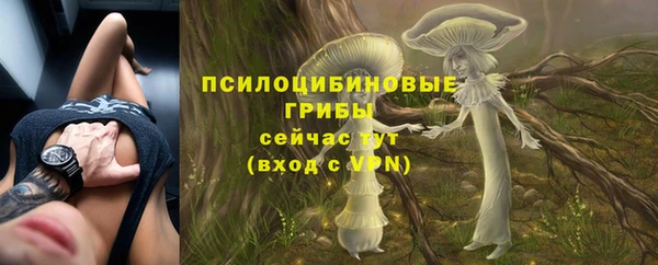 ALPHA-PVP Рославль