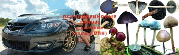 мдма Протвино